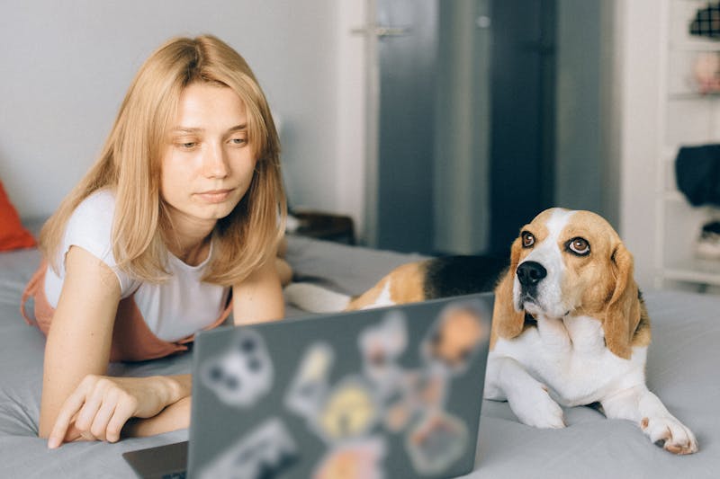 A woman lies on a bed using a laptop exploring tips to build trust in a crowded inbox.